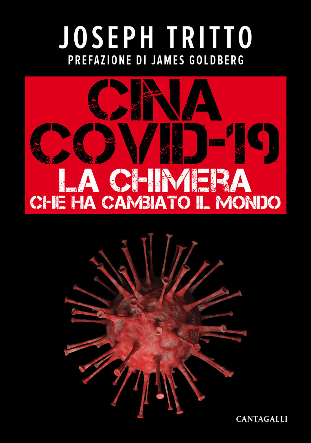 Cina Covid-19. La chimera che ha cambiato il mondo