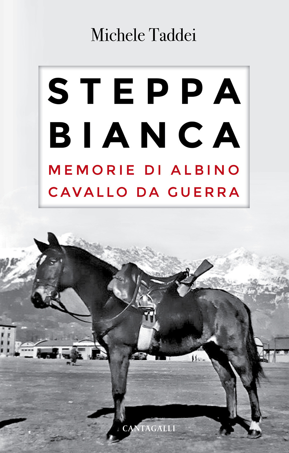 Steppa bianca. Memorie di Albino cavallo da guerra