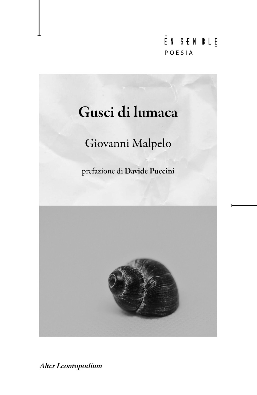 Gusci di lumaca