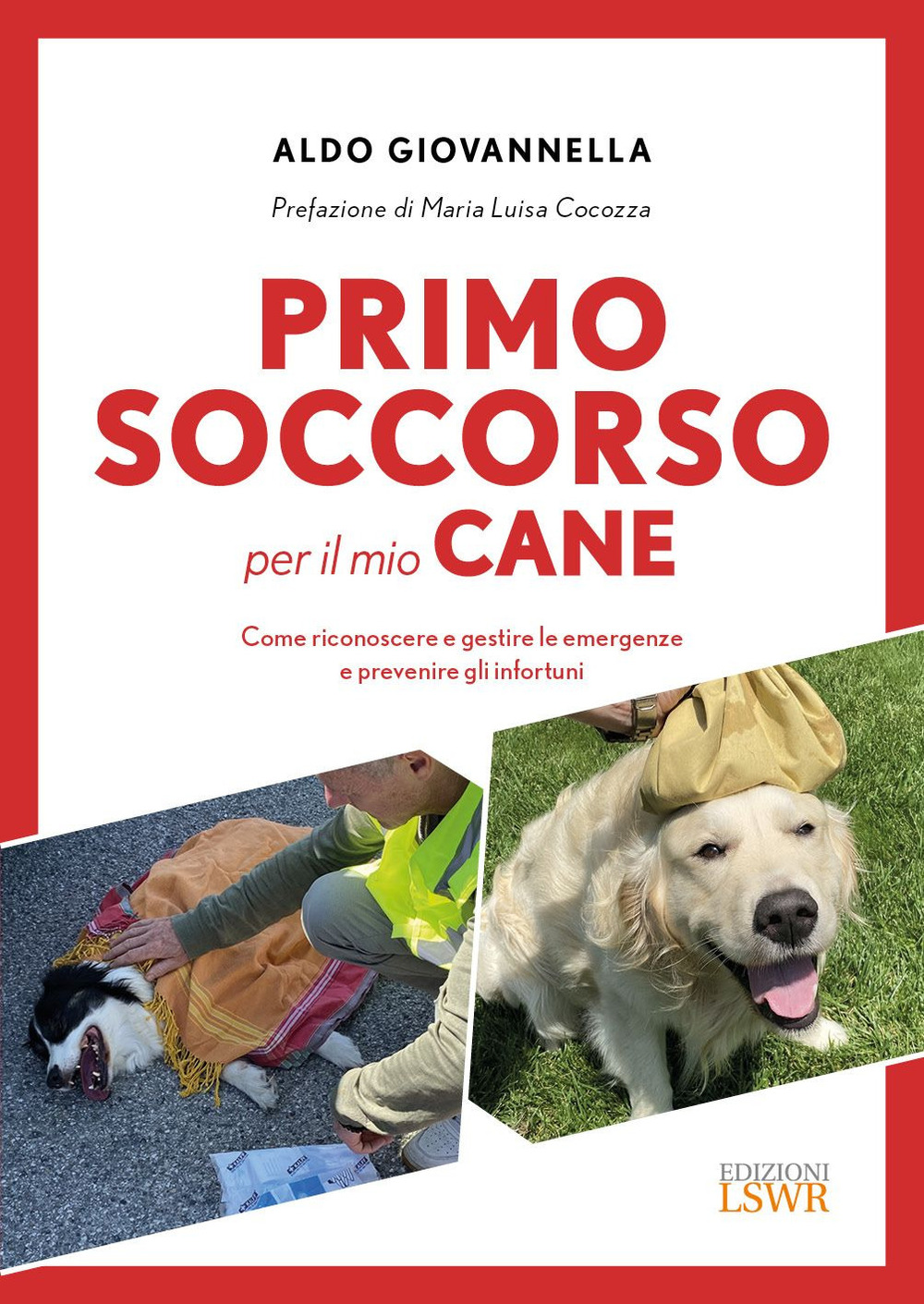 Primo soccorso per il mio cane. Come riconoscere e gestire le emergenze e prevenire gli infortuni