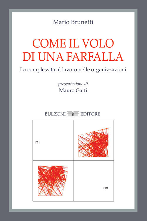 Come il volo di una farfalla. La complessità al lavoro nelle organizzazioni