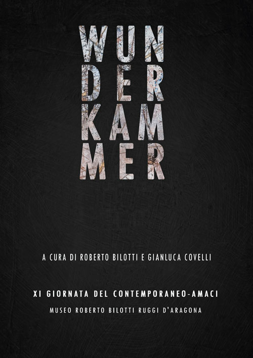 Wunderkammer. Catalogo della mostra (Rende, 10-31 ottobre 2015). Ediz. illustrata