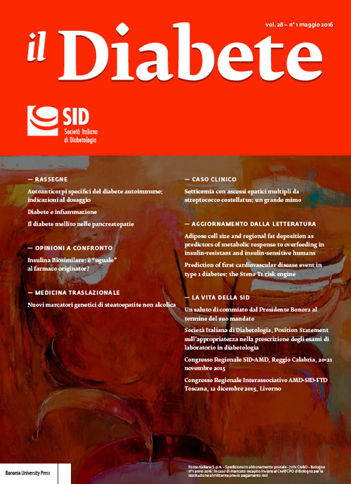 Il diabete. Con supplemento. Vol. 28/1