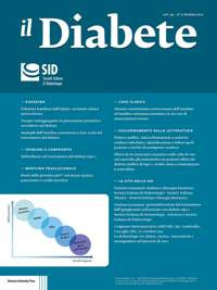 Il diabete (2017). Vol. 29