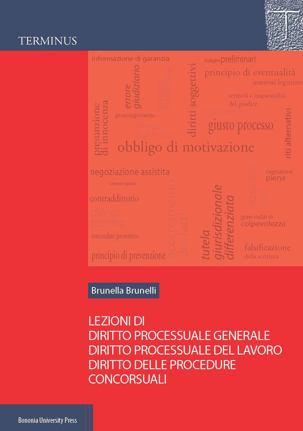 Lezioni di diritto processuale generale, diritto processuale del lavoro, diritto delle procedure concorsuali