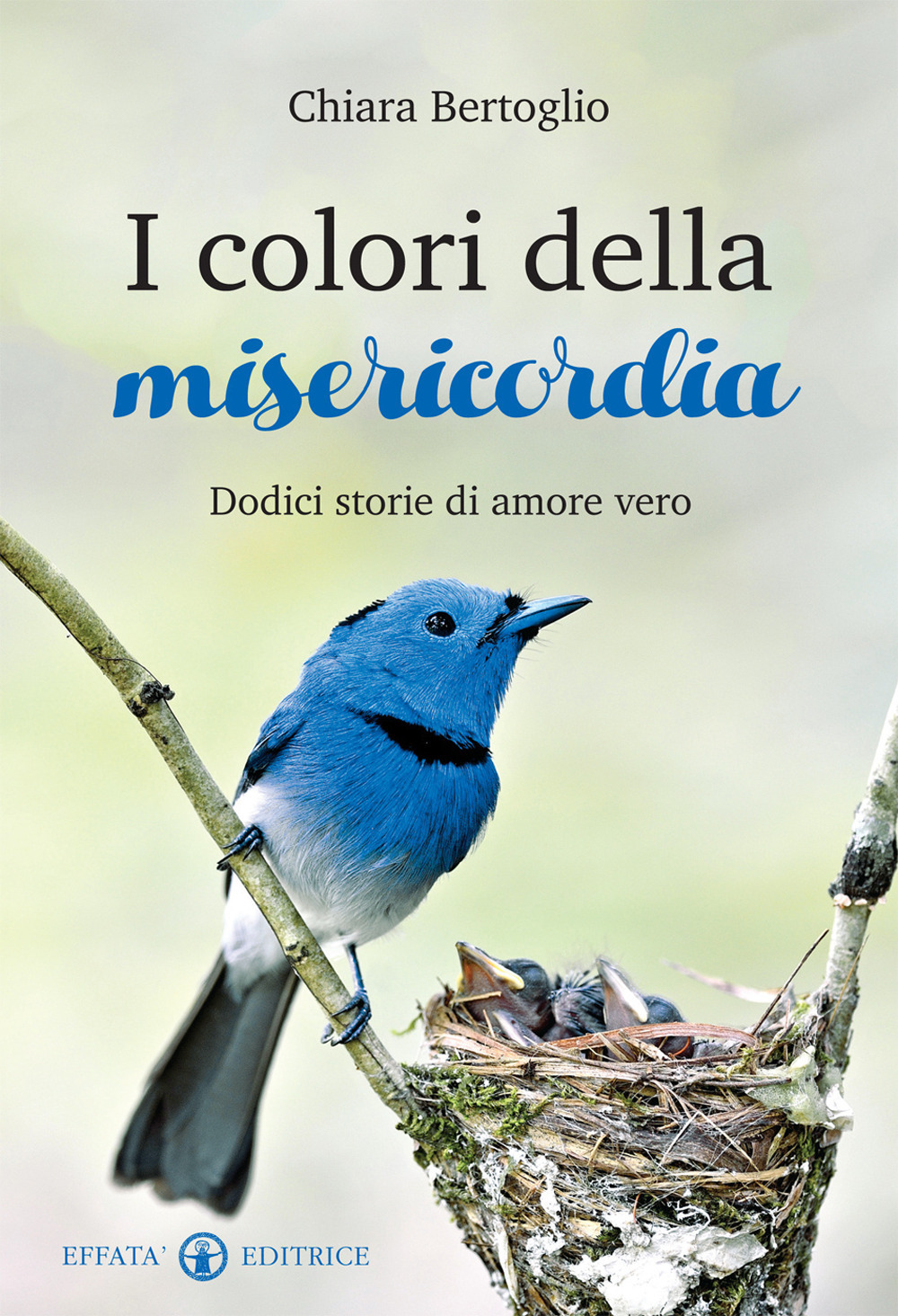 I colori della misericordia. Dodici storie di amore vero