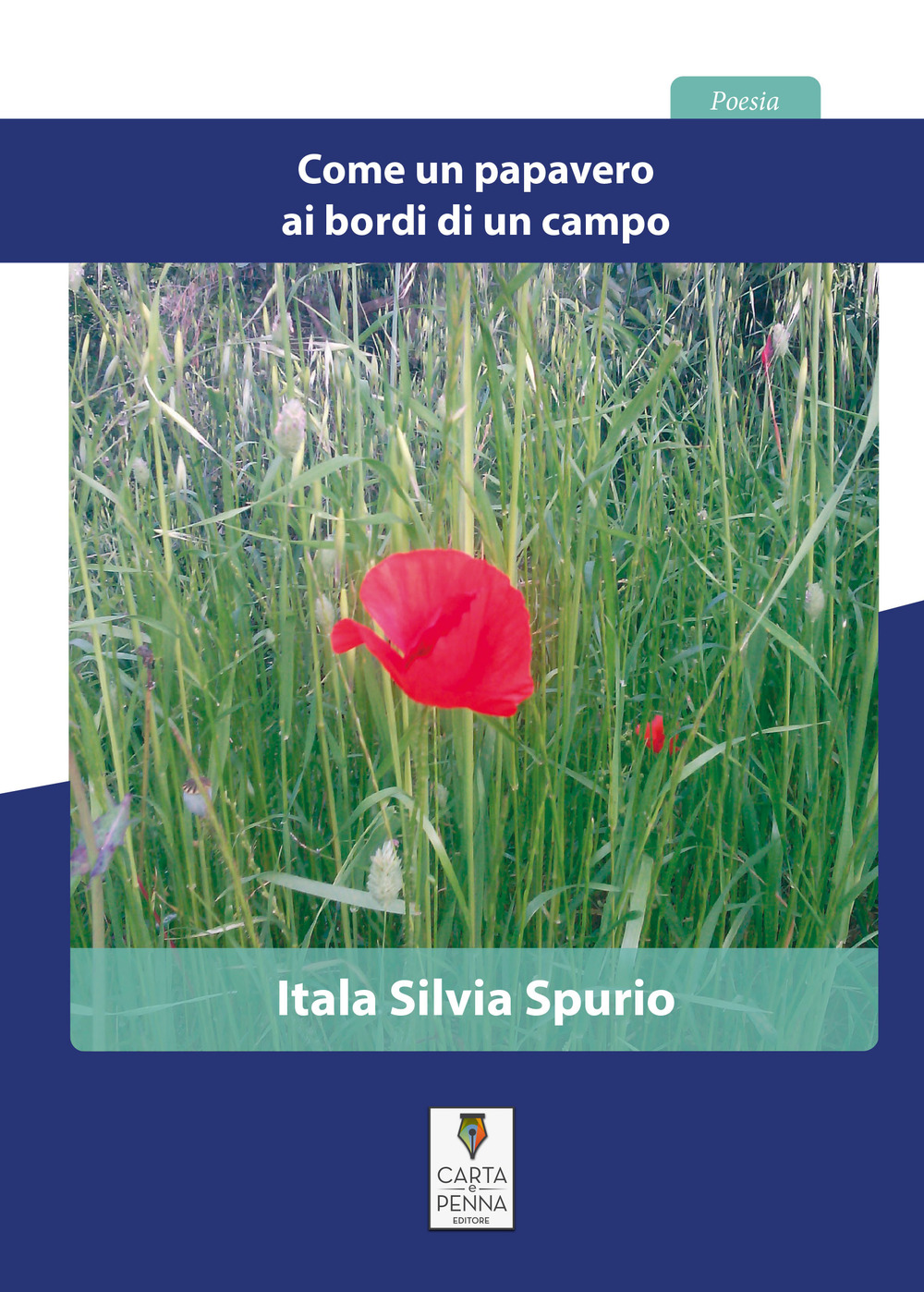 Come un papavero ai bordi di un campo