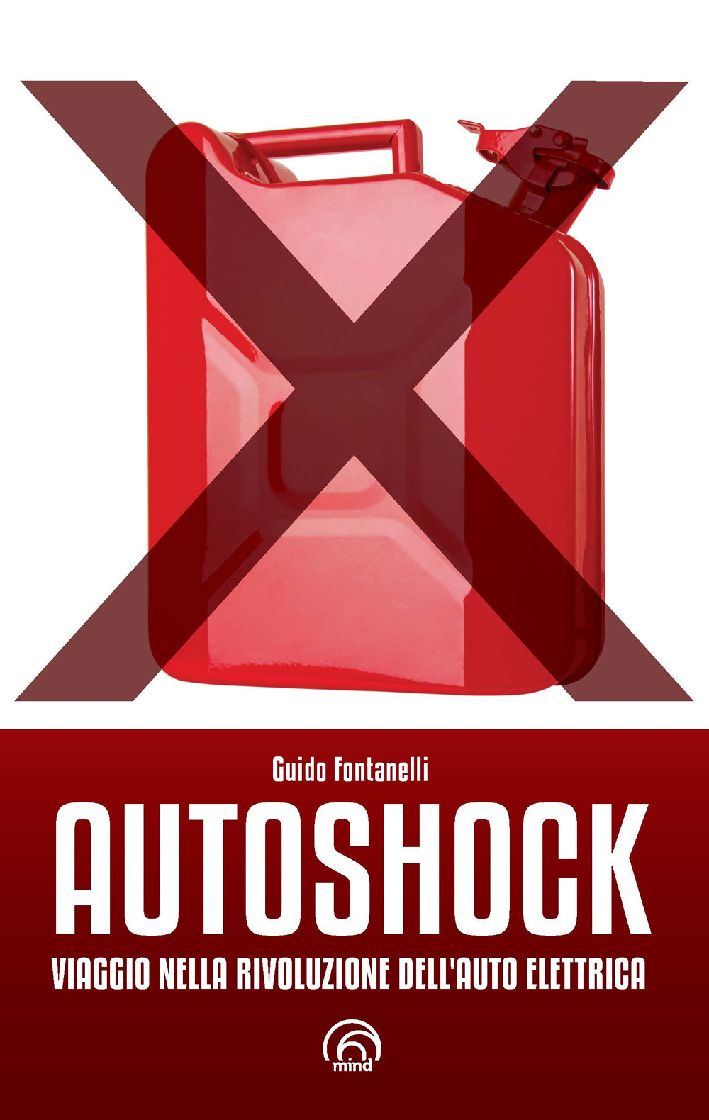 Autoshock. Viaggio nella rivoluzione dell'auto elettrica