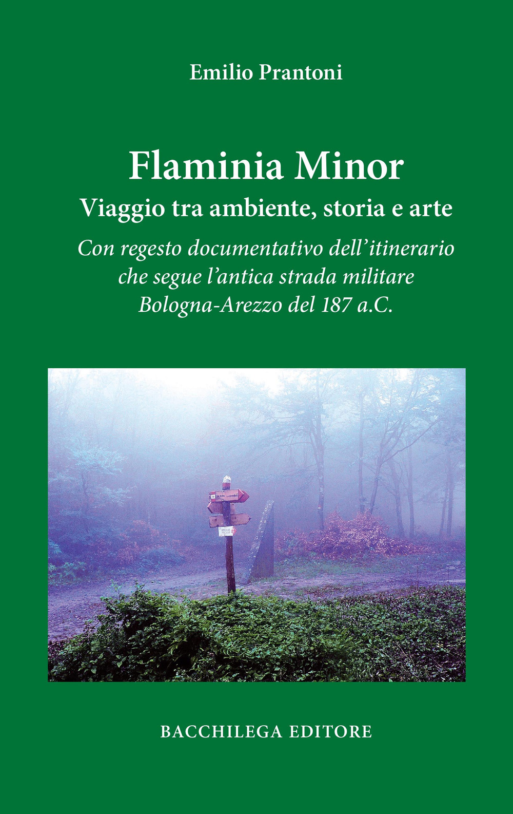 Flaminia Minor. Viaggio tra ambiente, storia e arte. Con regesto documentativo dell'itinerario che segue l'antica strada militare Bologna-Arezzo del 187 a.C.