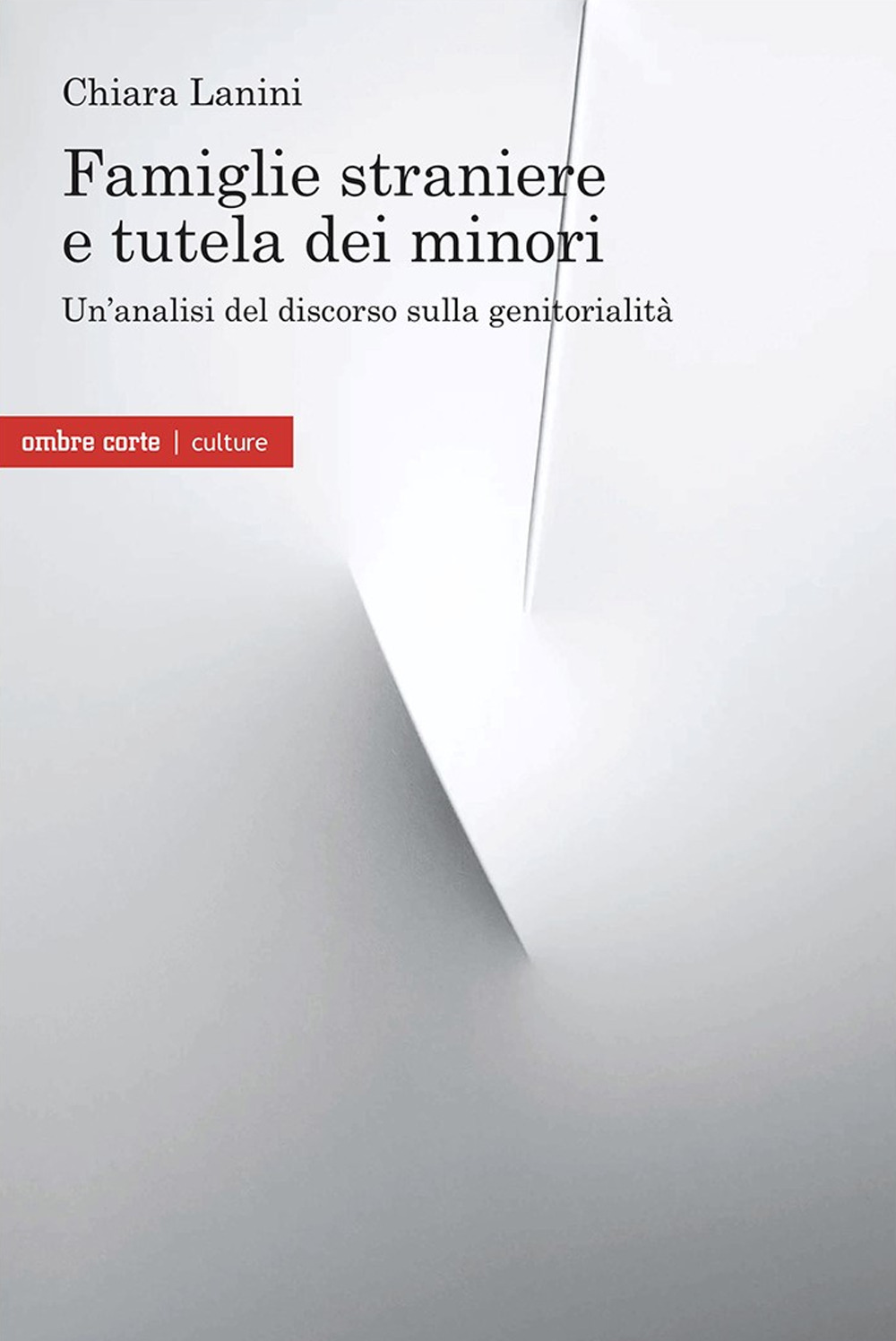 Famiglie straniere e tutela dei minori. Un'analisi del discorso sulla genitorialità