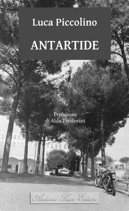 Antartide