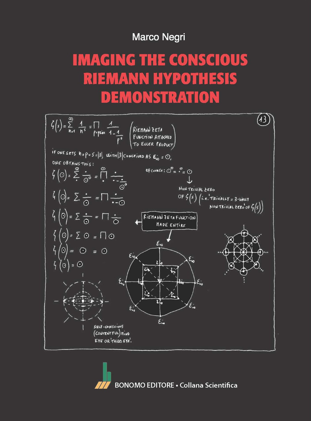 Imaging the conscious Riemann hypothesis demonstration