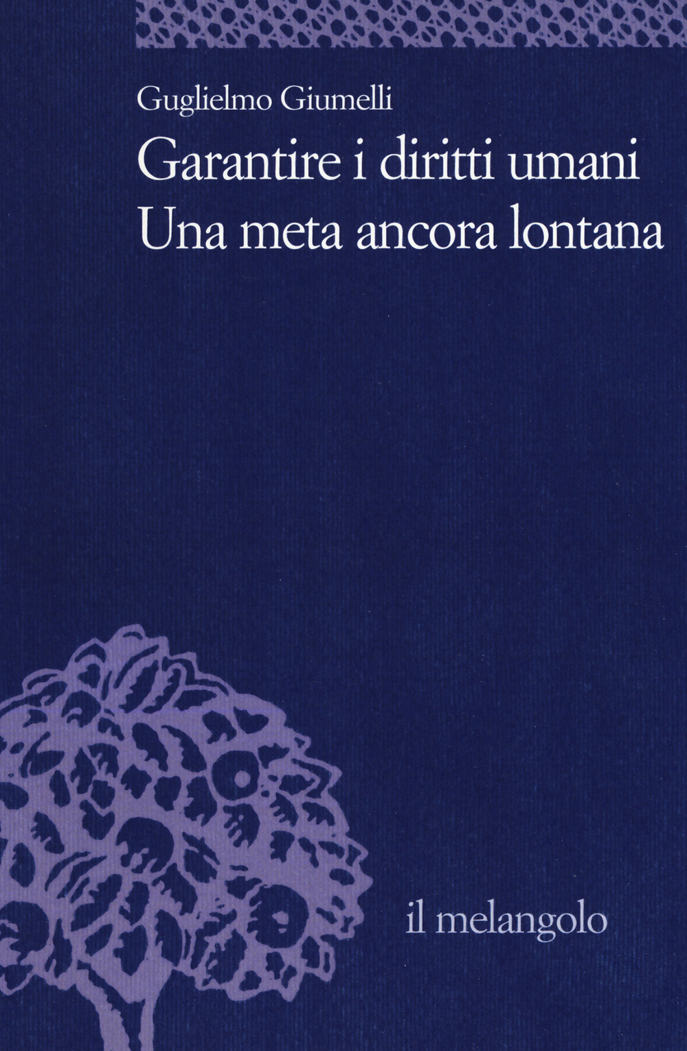 Garantire i diritti umani. Una meta ancora lontana