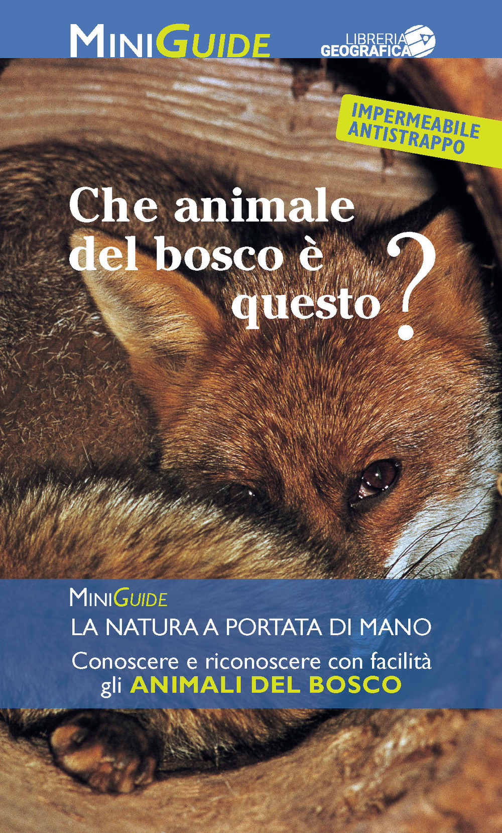 Che animale del bosco è questo?