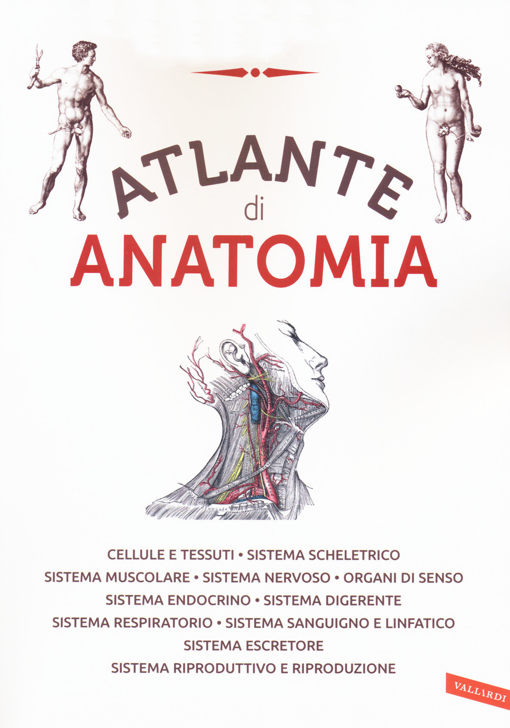 Atlante di anatomia. Ediz. a colori