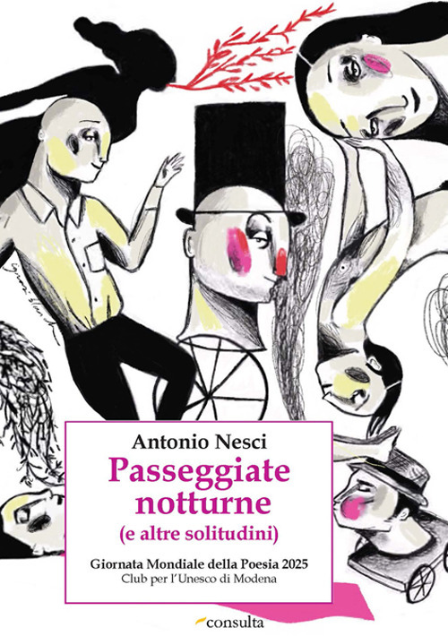 Passeggiate notturne (e altre solitudini). Ediz. illustrata