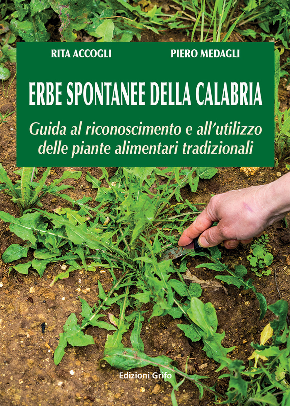 Erbe spontanee della Calabria. Guida al riconoscimento e all'utilizzo delle piante alimentari tradizionali