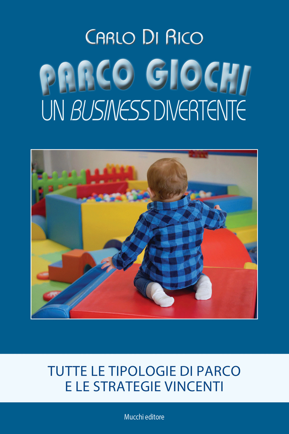 Parco giochi. Un business divertente. Tutte le tipologie di parco e le strategie vincenti