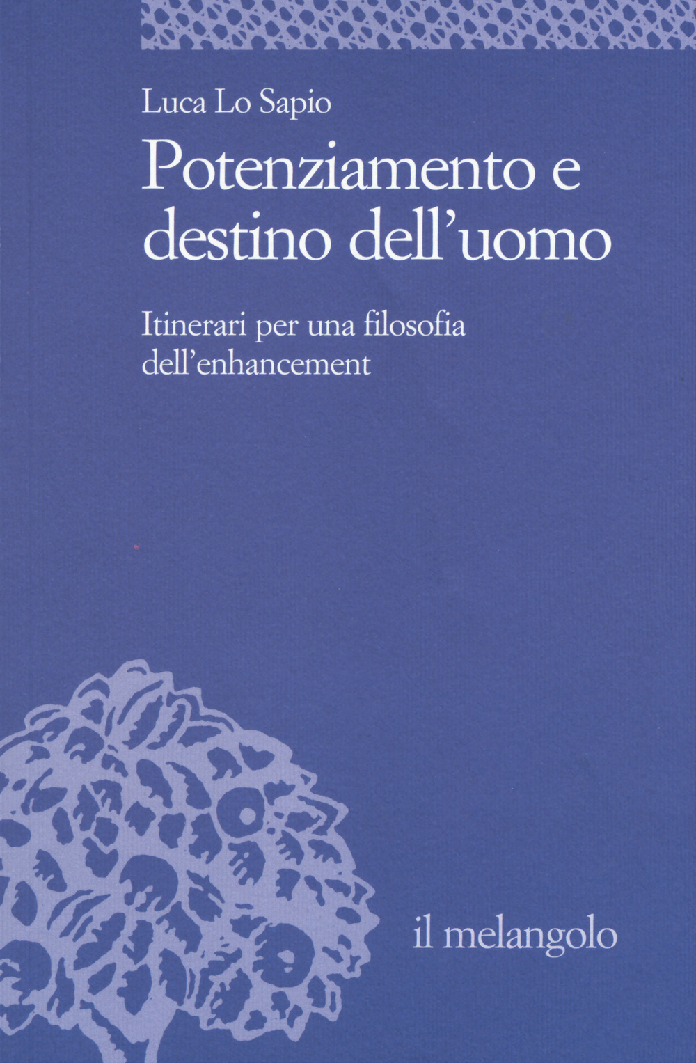 Potenziamento e destino dell'uomo. Itinerari per una filosofia dell'enhancement