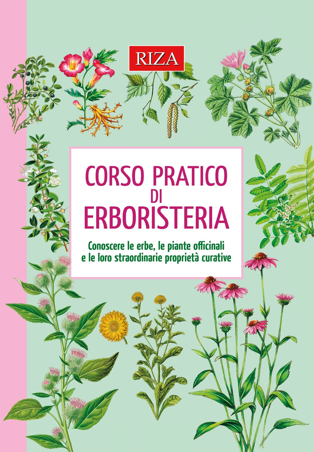 Corso pratico di erboristeria. Conoscere le erbe, le piante officinali e le loro straordinarie proprietà