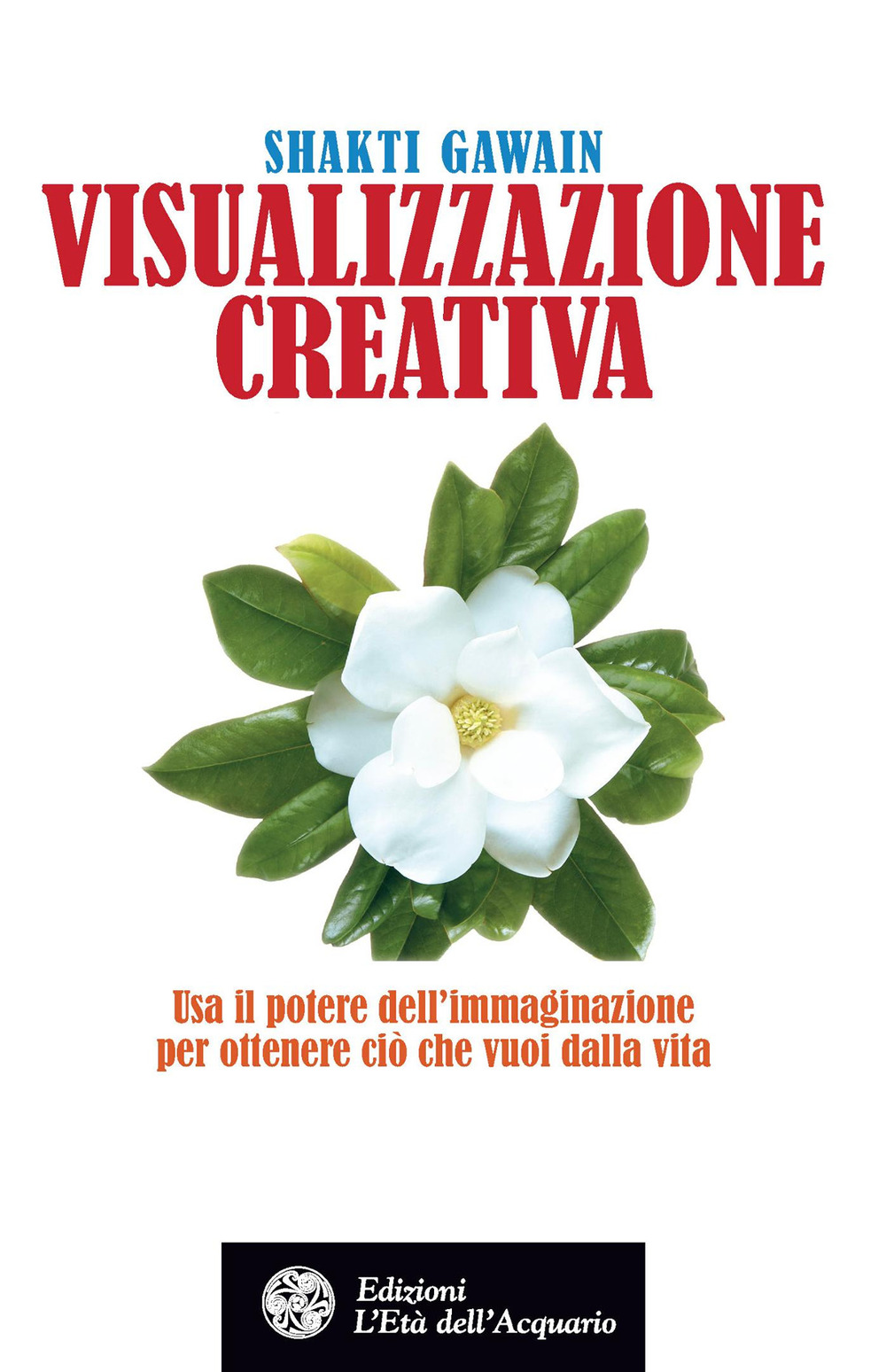 Visualizzazione creativa. Usa il potere dell'immaginazione per ottenere ciò che vuoi nella vita