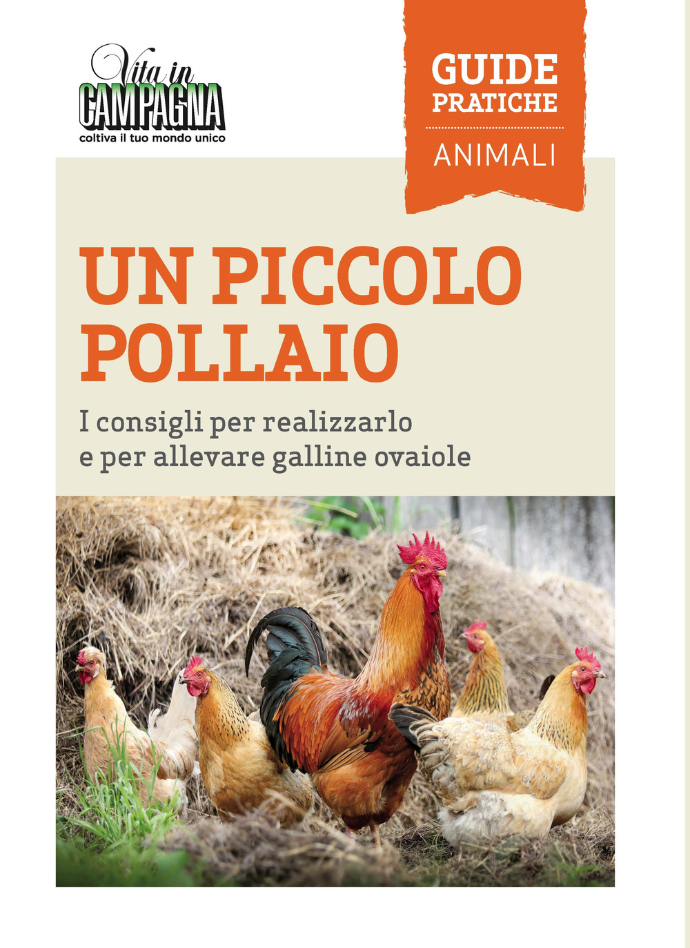 Un piccolo pollaio. I consigli per realizzarlo e per allevare galline ovaiole