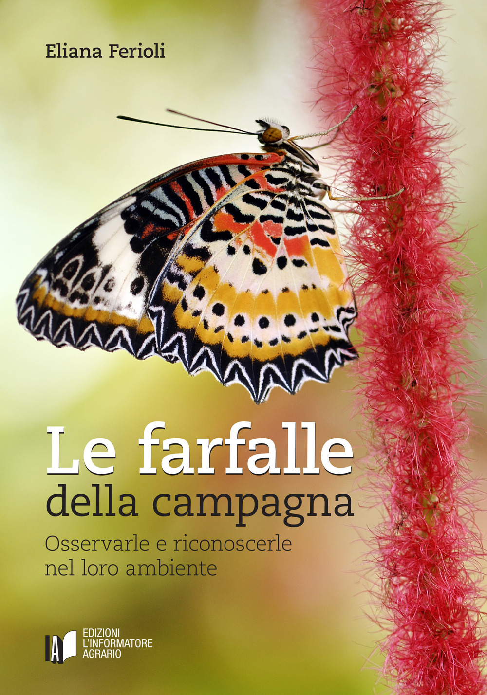 Le farfalle della campagna. Osservarle e riconoscerle nel loro ambiente