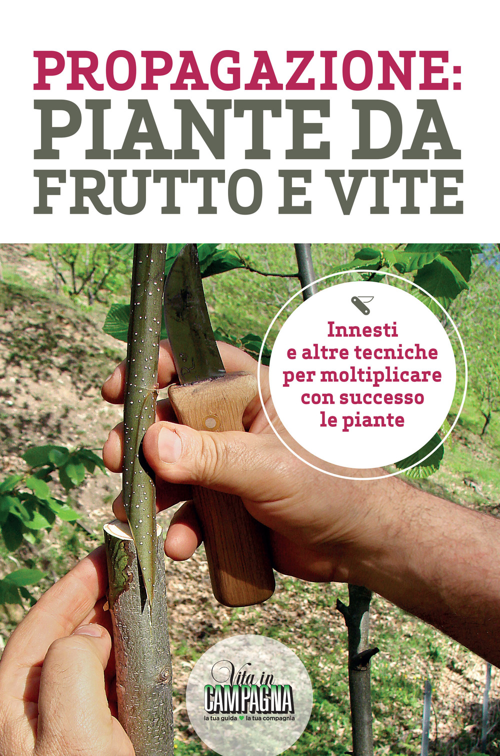 Propagazione: piante da frutto e vite