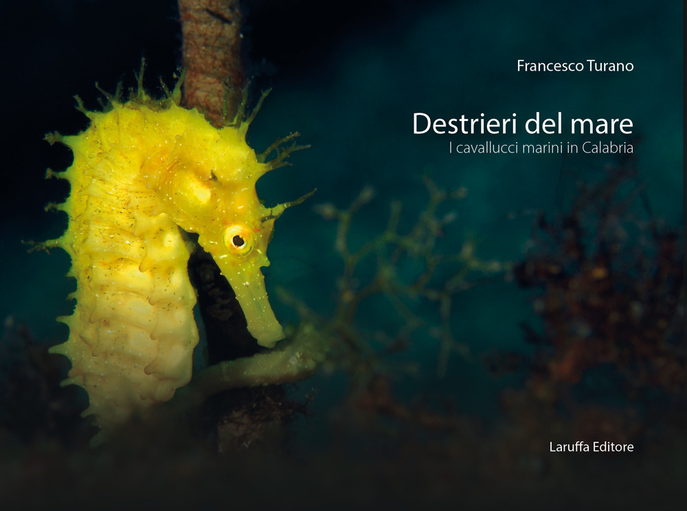 Destrieri del mare. I cavallucci marini in Calabria. Ediz. illustrata