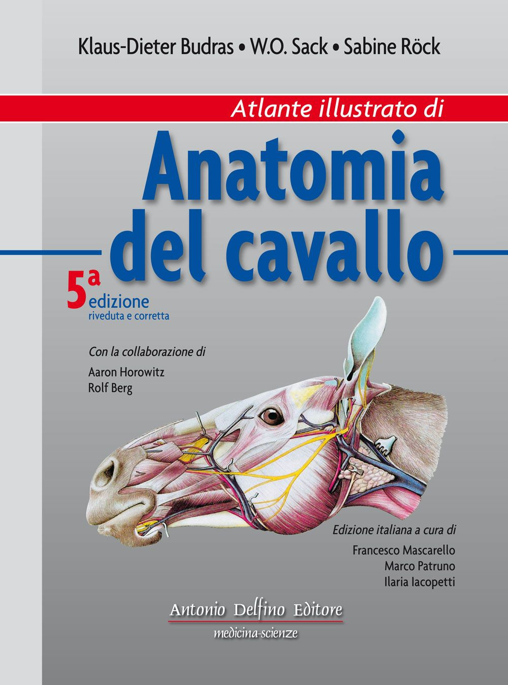 Atlante illustrato di anatomia del cavallo. Ediz. illustrata