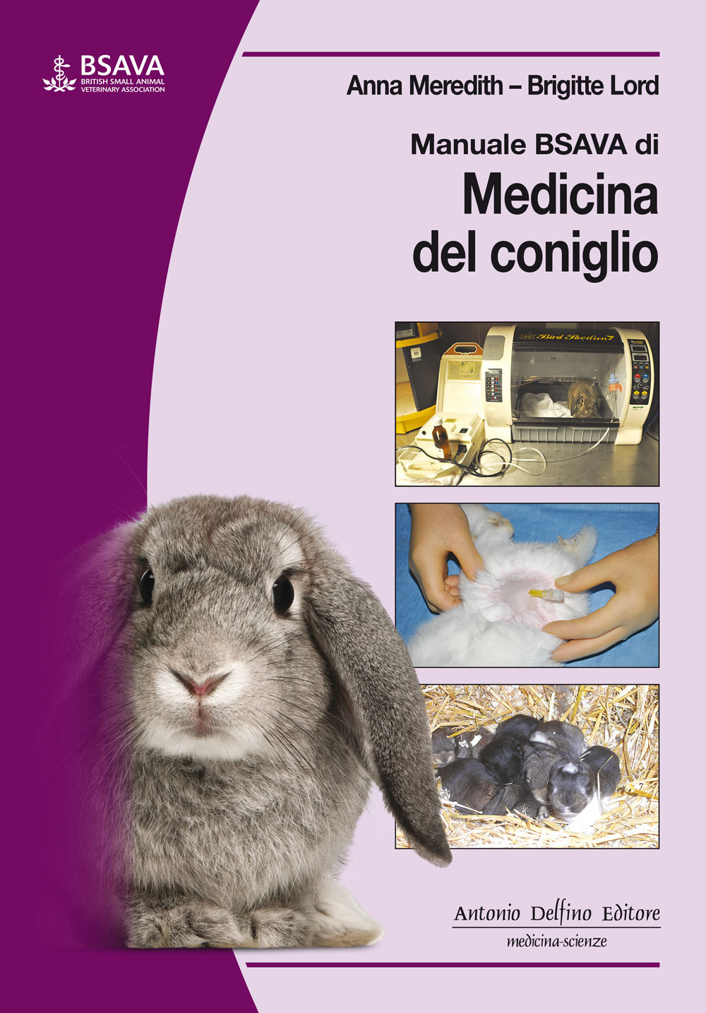 Manuale BSAVA di medicina del coniglio