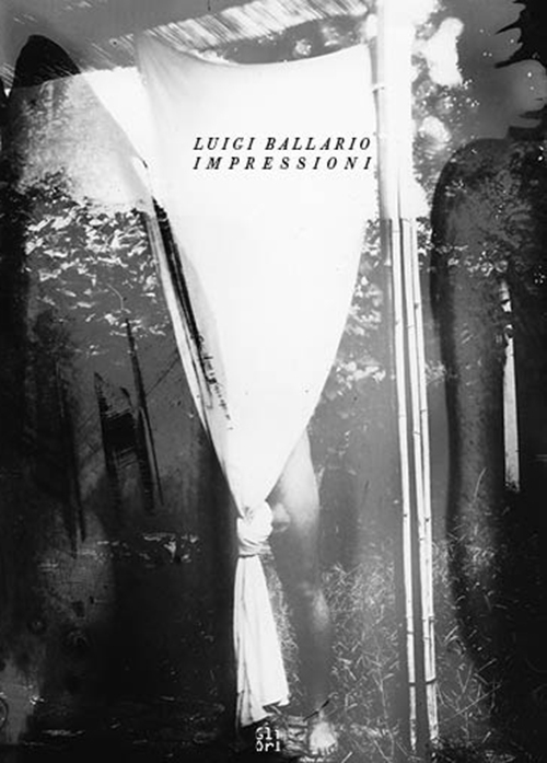 Luigi Ballario. Impressioni. Ediz. illustrata