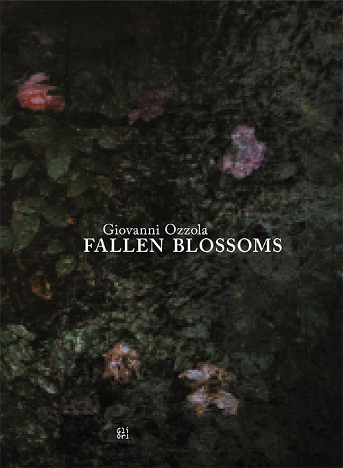 Fallen Blossoms
