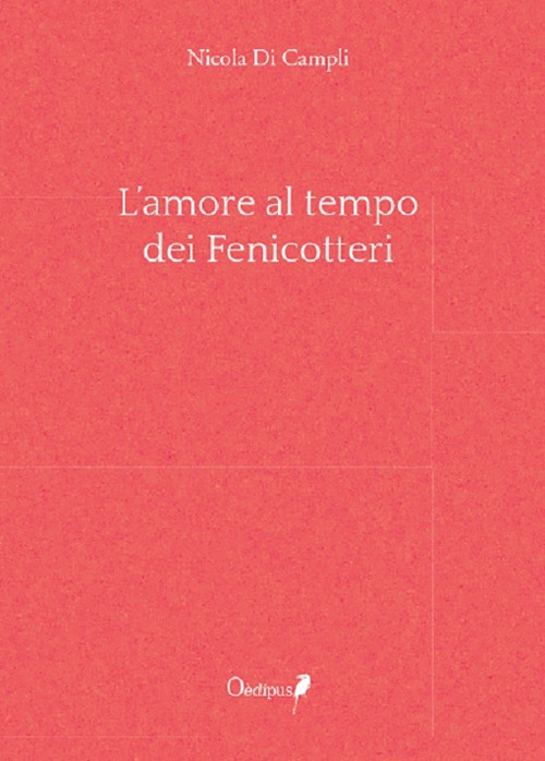 L'amore al tempo dei fenicotteri