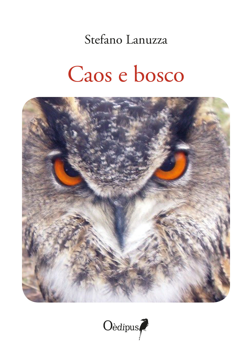 Caos e bosco