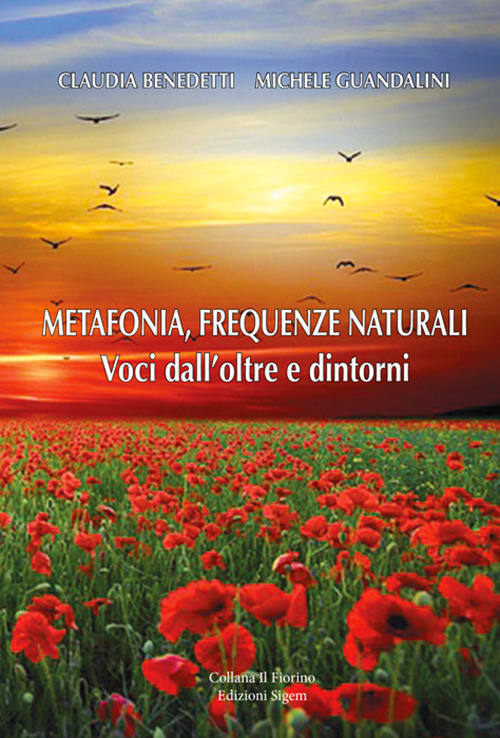 Metafonia, frequenze naturali. Voci dall'oltre e dintorni