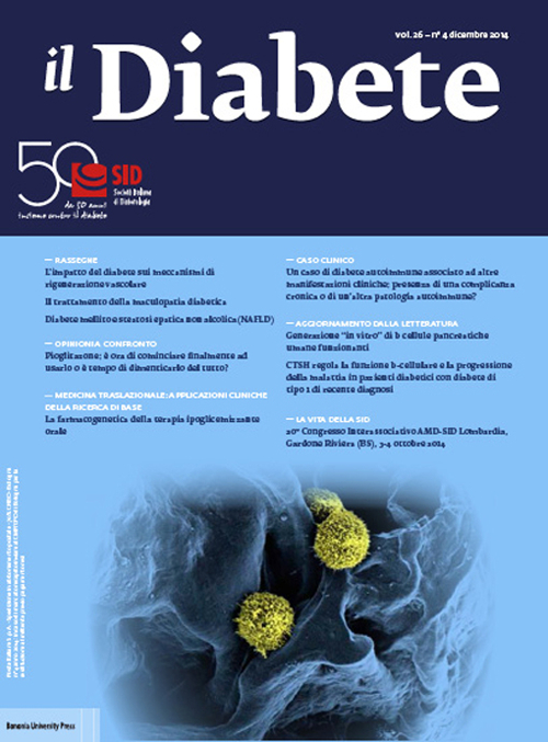 Il diabete. Vol. 26/4