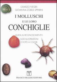 I molluschi e le loro conchiglie. Guida al riconoscimento