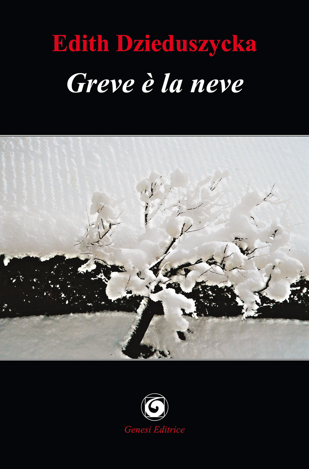 Greve è la neve