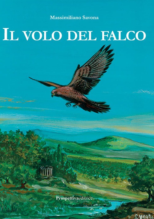 Il volo del falco