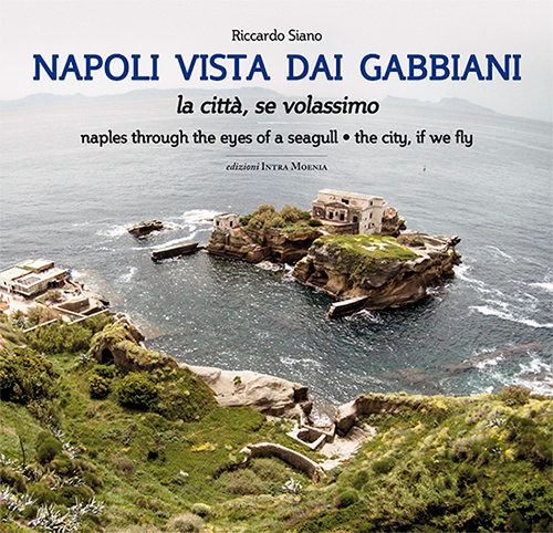 Napoli vista dai gabbiani. La città se volassimo. Ediz. bilingue