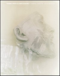 Fanno finta di non esserci. Ediz. illustrata