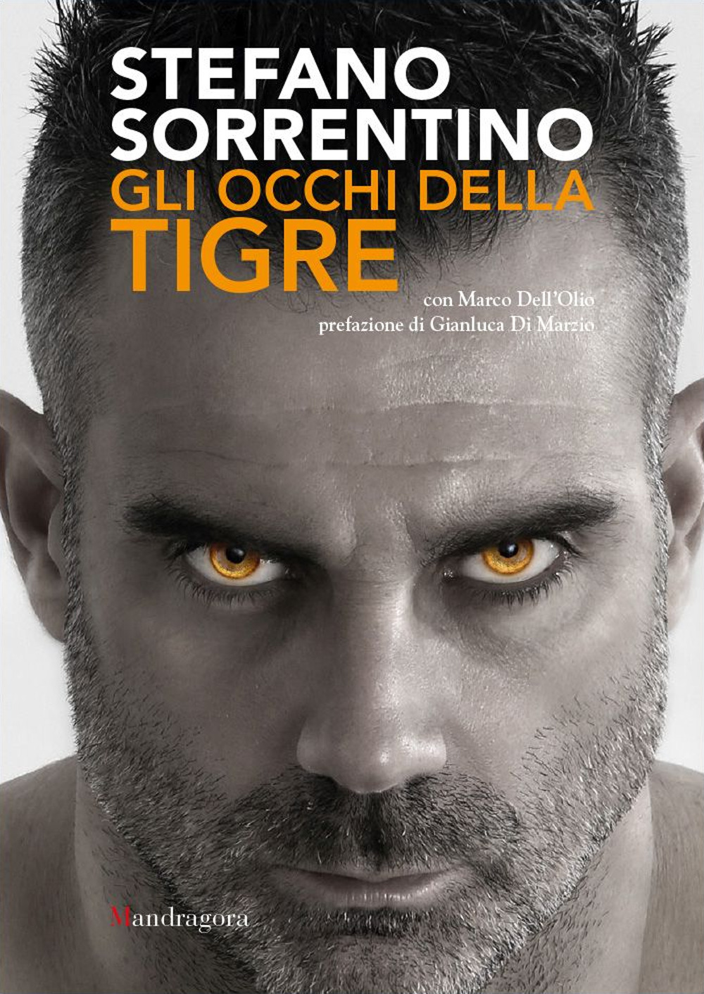 Gli occhi della tigre