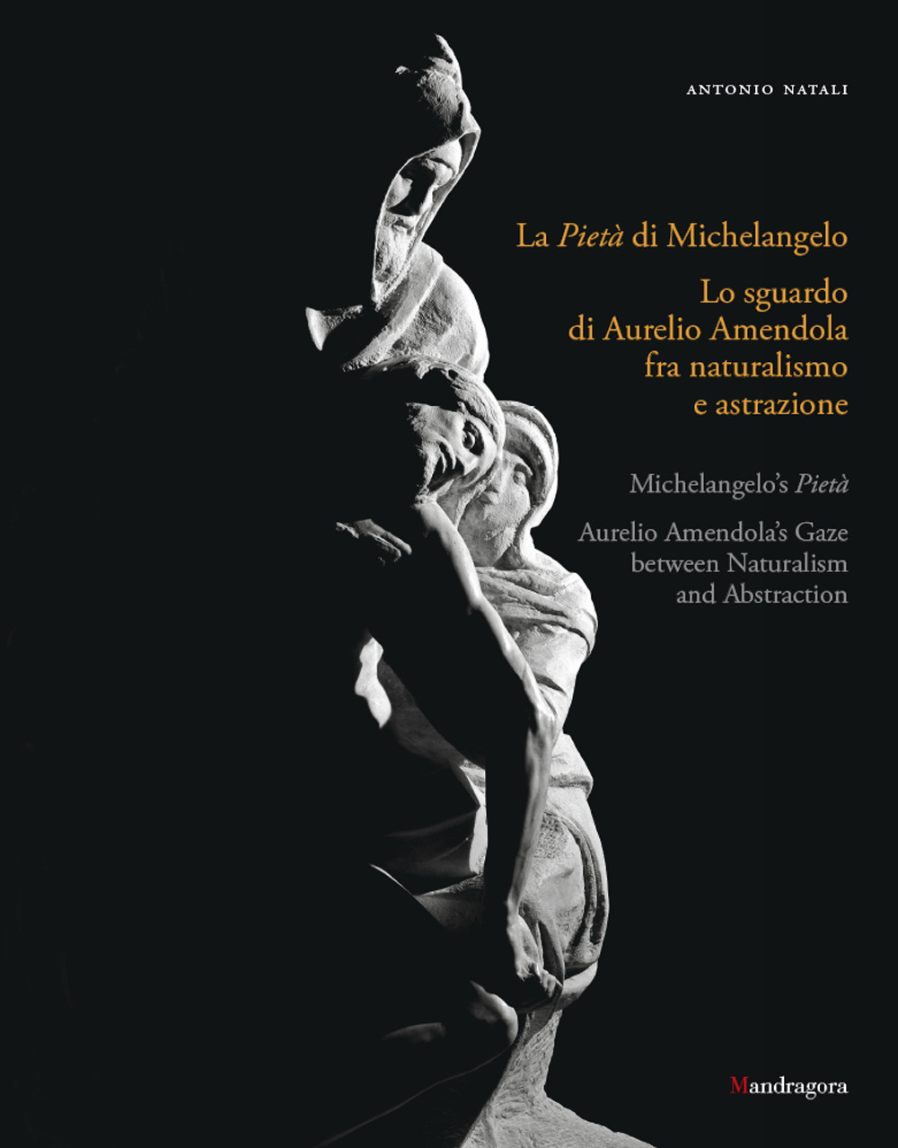 La Pietà di Michelangelo. Lo sguardo d'Aurelio Amendola fra naturalismo e astrazione. Catalogo della mostra (Firenze, 8 settembre 2022-9 gennaio 2023). Ediz. italiana e inglese