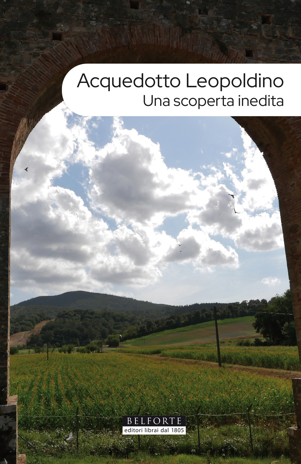 Acquedotto leopoldino. Una scoperta inedita. Con Carta geografica ripiegata