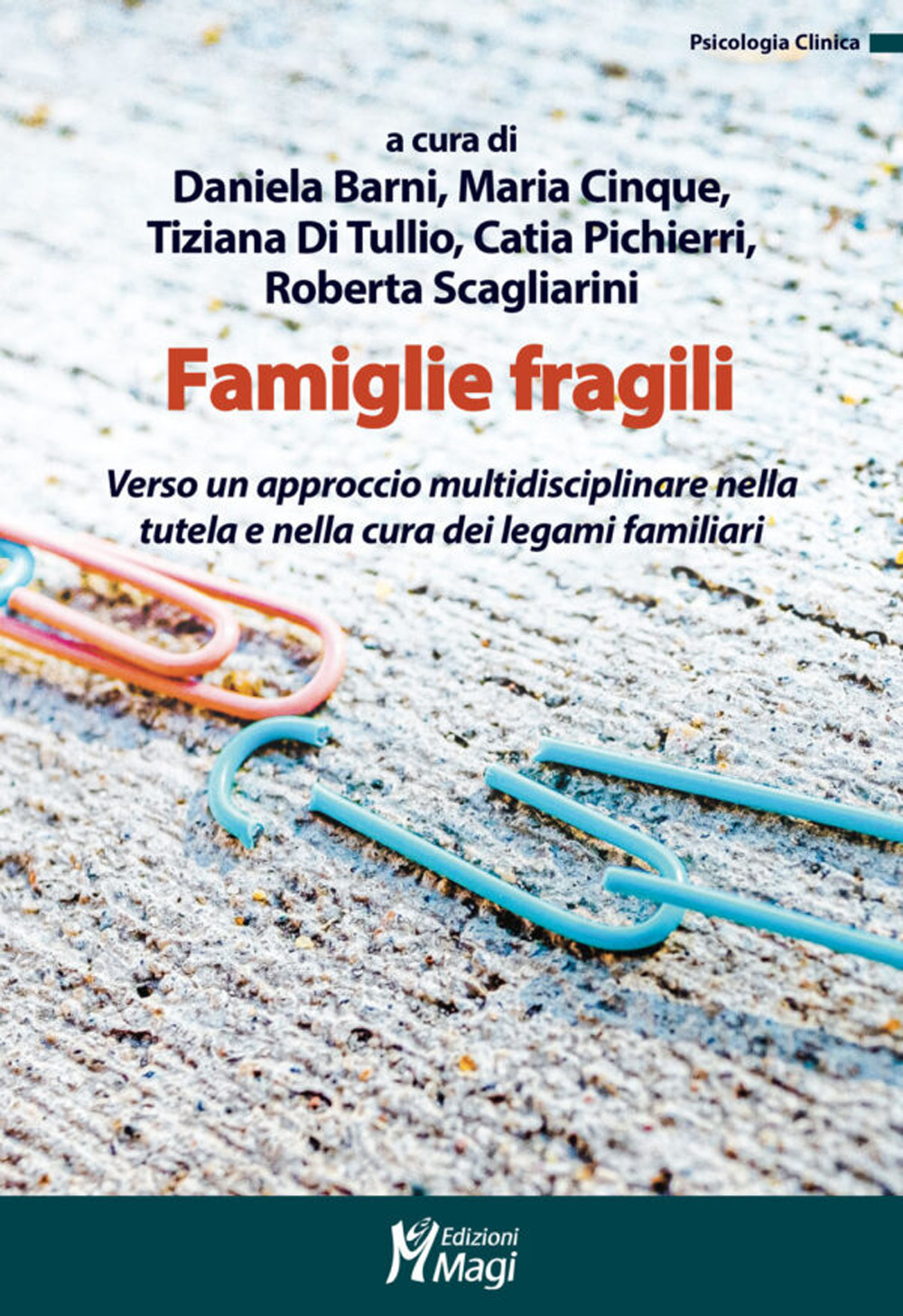 Famiglie fragili. Verso un approccio multidisciplinare nella tutela e nella cura dei legami familiari