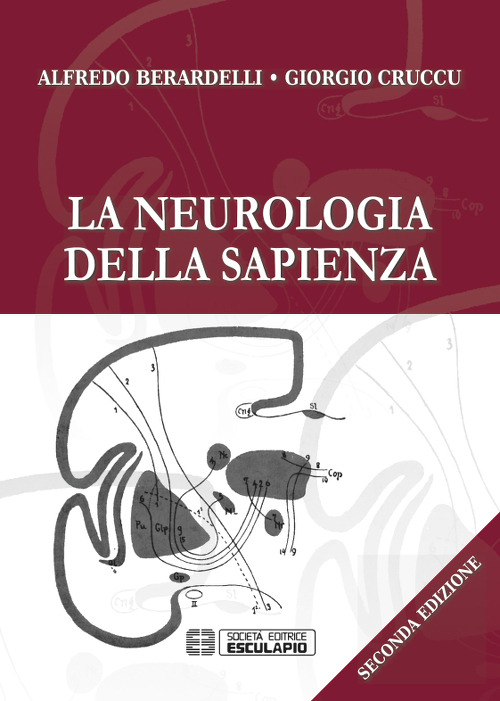 La neurologia della Sapienza