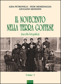 Il Novecento nella terra goitese. Ediz. illustrata. Vol. 3