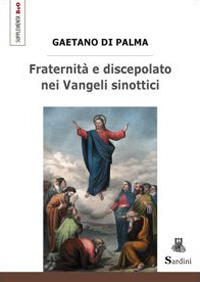 Fraternità e discepolato nei Vangeli sinottici