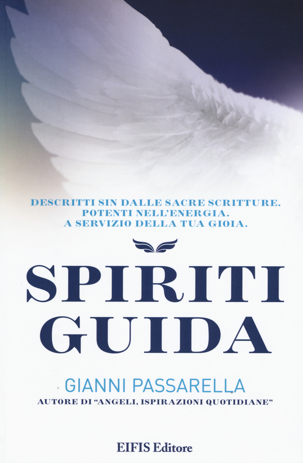 Spiriti Guida. Descritti sin dalle Sacre Scritture. Potenti nell'energia. A servizio del tuo successo